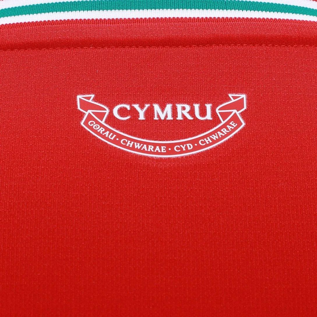 Camisa Seleção País de Gales I 26/27 - Torcedor Adidas Masculina
