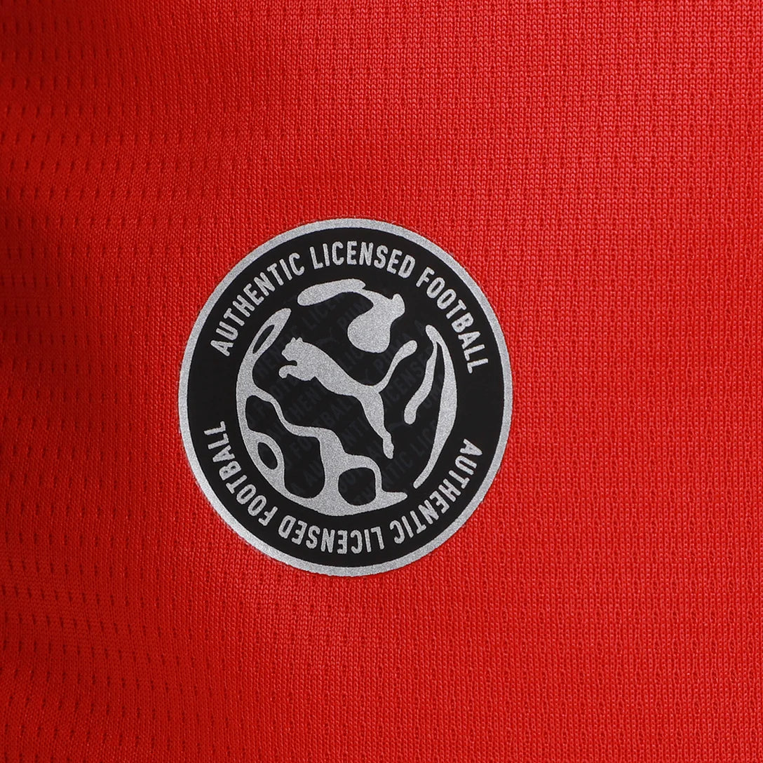 Camisa Seleção Egito 26/27 - Torcedor Puma Masculina
