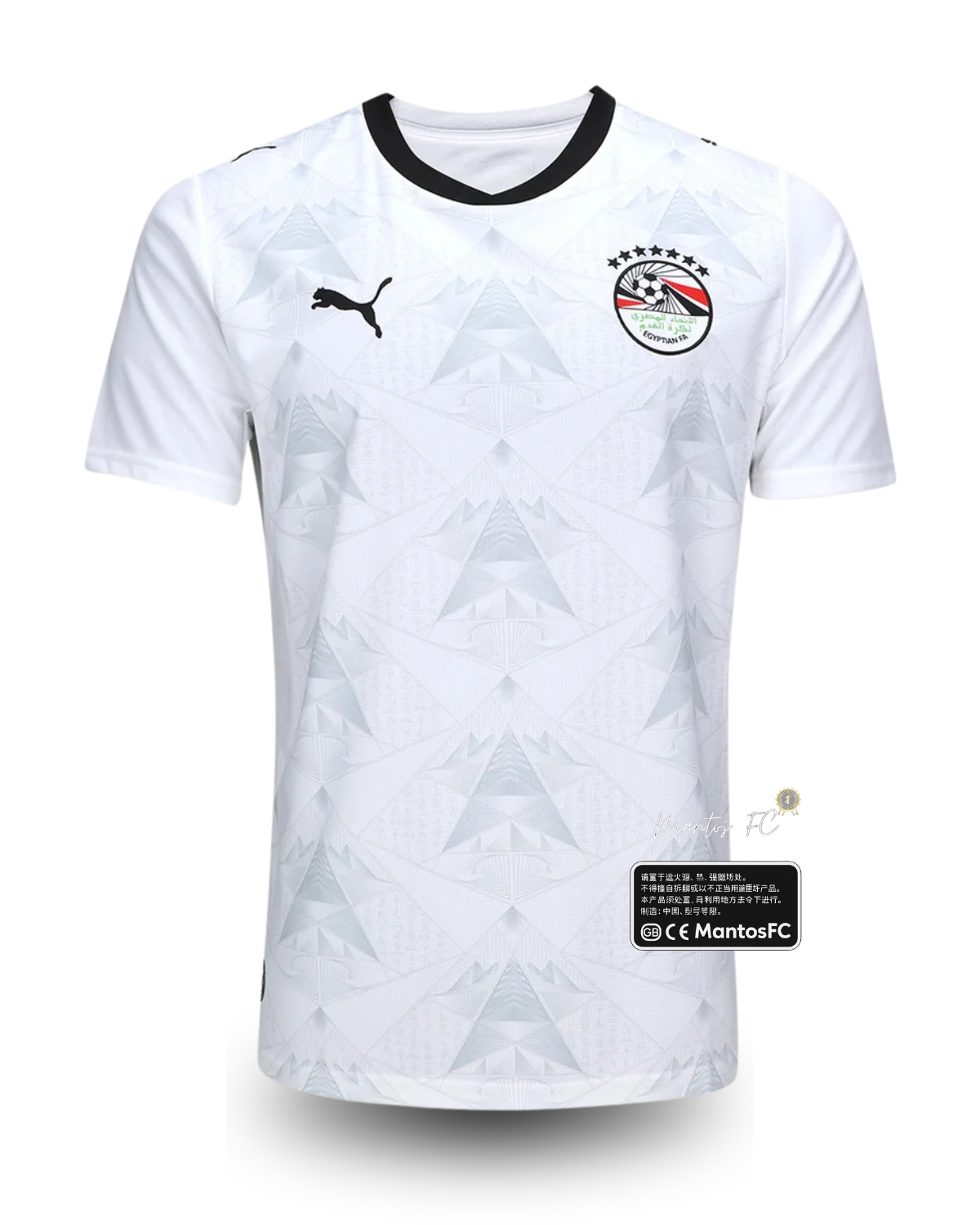 Camisa Seleção Egito Branca 26/27 - Torcedor Puma Masculina