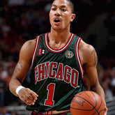 Regata Chicago Bulls Go Gren 2008/09