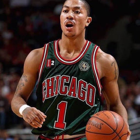 Regata Chicago Bulls Go Gren 2008/09