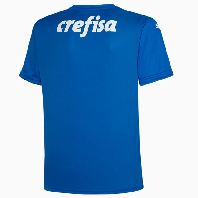Camisa Palmeiras Goleiro 22/23 Torcedor Puma Masculina - Azul