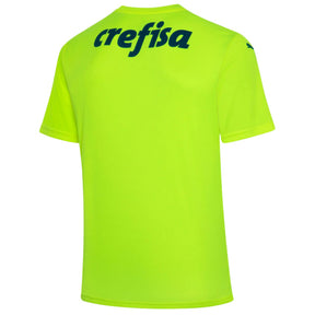 Camisa Palmeiras Goleiro 22/23 Torcedor Puma Masculina - Verde