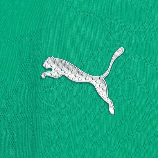 Camisa Palmeiras Treino 25/26 - Torcedor Puma Feminina - Verde