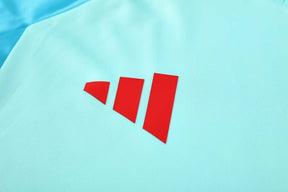 Kit Treino adulto - Camisa e Shorts - Flamengo Adidas 25/26 - Azul