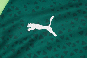 Conjunto Palmeiras Treino 24/25 - Masculino Puma - Verde