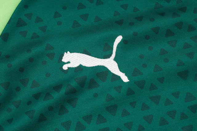 Conjunto Palmeiras Treino 24/25 - Masculino Puma - Verde