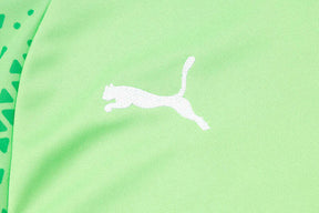 Conjunto Palmeiras Treino 24/25 - Masculino Puma - Verde