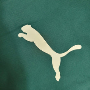 Jaqueta Corta-Vento Palmeiras 23/24 - Masculina Puma - Verde e branca