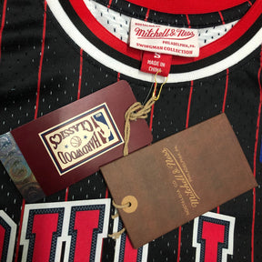 Regata Chicago Bulls Alternate 1995/96