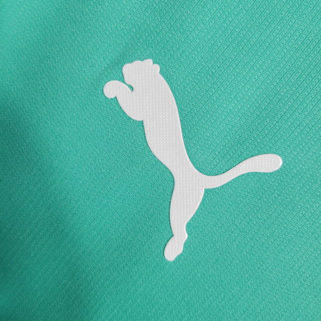 Camisa Palmeiras III Retrô 19/20 Torcedor Masculina - Verde Tricoline