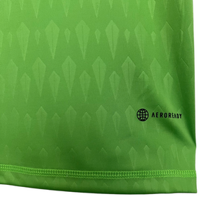 Camisa Seleção da Argentina Goleiro 23/24 - Torcedor Adidas Masculina - Verde com detalhes em branco e dourado