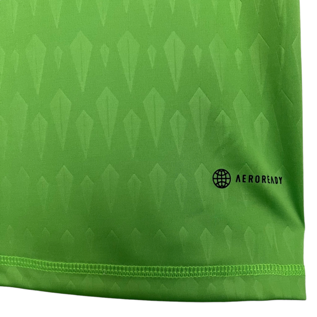 Camisa Seleção da Argentina Goleiro 23/24 - Torcedor Adidas Masculina - Verde com detalhes em branco e dourado