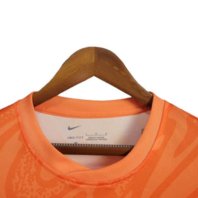 Camisa Seleção da Inglaterra Goleiro 24/25 - Torcedor Nike Masculina - Laranja