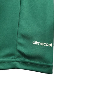 Camisa Retrô Palmeiras Edição Aniversário de 100 anos 2014/2015 - Torcedor Adidas Masculina - Verde com detalhes em dourado