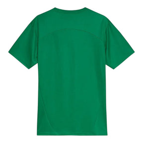 Camisa Palmeiras Treino 25/26 - Torcedor Puma Masculina - Verde