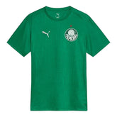 Camisa Palmeiras Treino 25/26 - Torcedor Puma Masculina - Verde