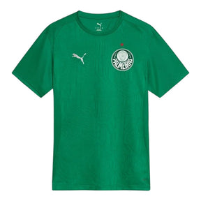 Camisa Palmeiras Treino 25/26 - Torcedor Puma Masculina - Verde